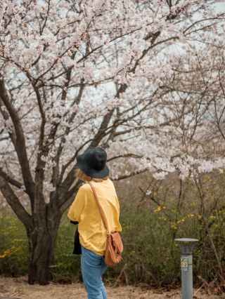 Seoul Forest — A Wonderful Place for a Walk