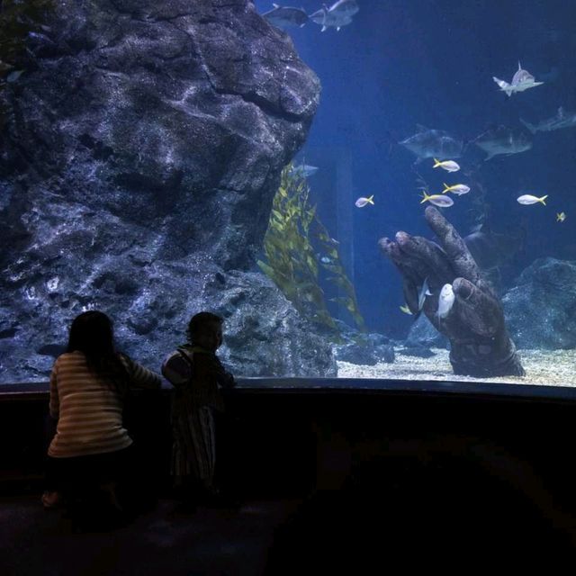 Bangkok's Best Aquarium