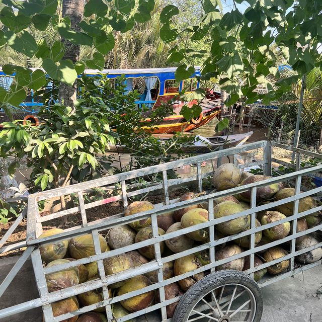 Mekong Delta Tour 