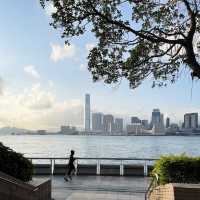 覽維港景色，漫步中西區海濱長廊中環段
