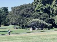 Cool off at the Royal Botanic Garden Sydney.