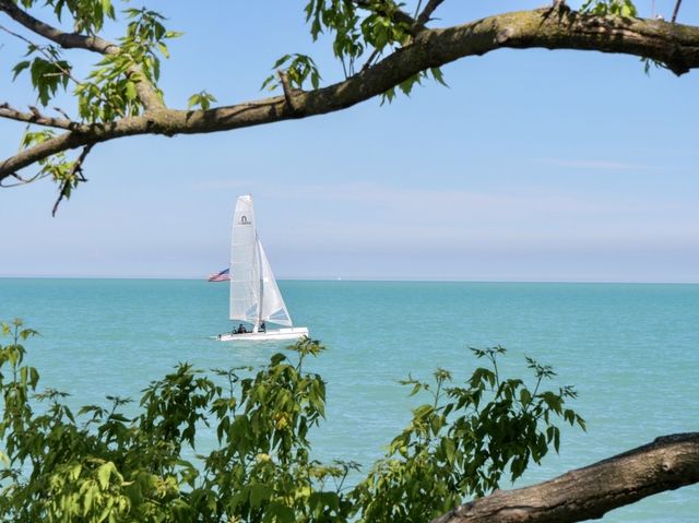 Northwestern University on the shores of Lake Michigan.