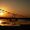 PhoenixRising_