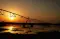 PhoenixRising_