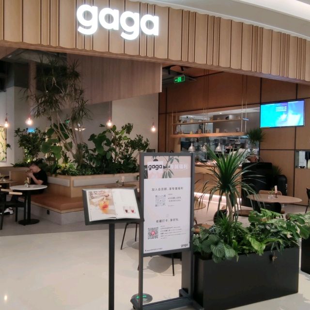 ✨深圳~美味輕食午餐gaga🍴✨