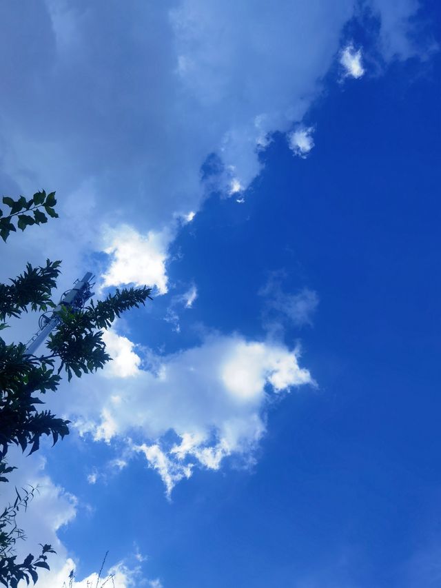吉舒公園