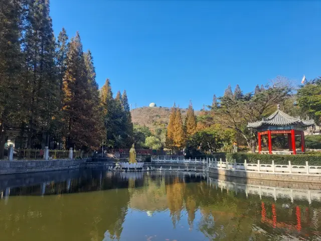 湛山寺，城中的梵境~