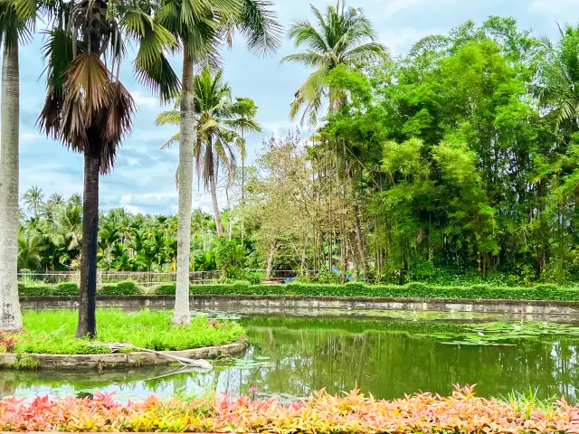 Kids' Favorite Botanical Garden | Xinglong Tropical Botanical Garden, Wanning