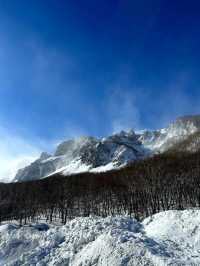 吉林長白山五天旅遊攻略