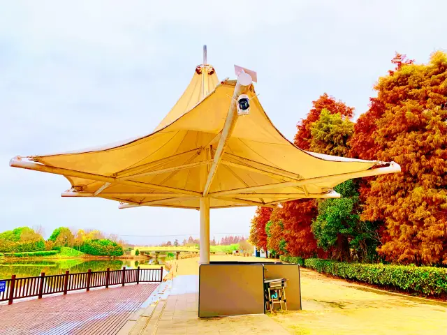 Hengsha Island, the pastoral scenery of the island combined with light and shadow