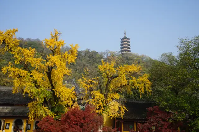 Jiaoshan, surrounded by green waves, full of green mountains, like a jade floating in the river,