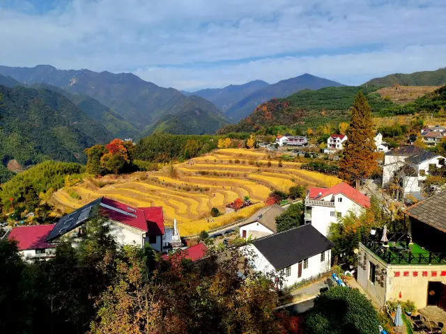 지남 마을의 색상입니다