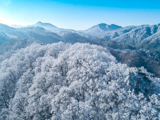 冬遊指南|金寨馬鬃嶺霧凇美景