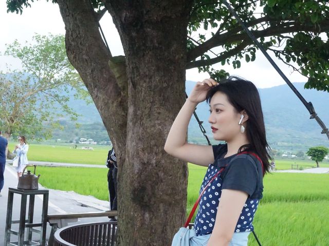 台灣必去景點伯朗大道風吹麥浪踏車而行悠閒舒適
