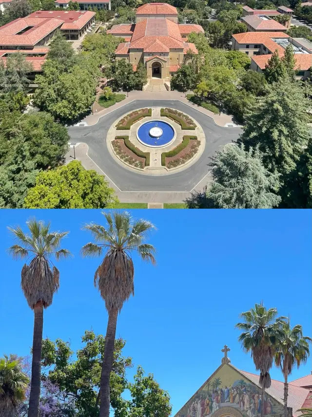 Stanford Day Tour | Visited the alma mater of Gu Ailing