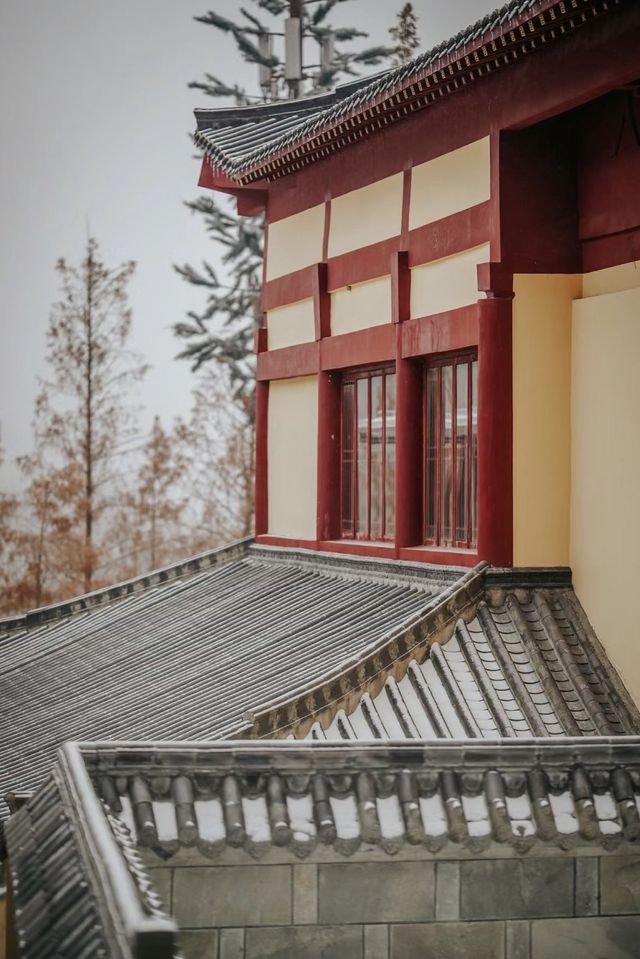 武漢的雪，落在了木蘭山之上