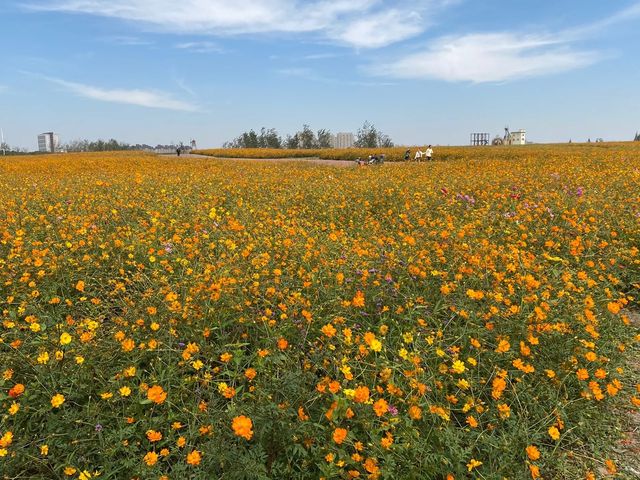 炫酷上海遊｜朋友以為我去迪拜度假了的驚喜之旅