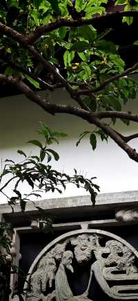 【最憶是杭州】虎跑寺的桂花，別樣清幽…