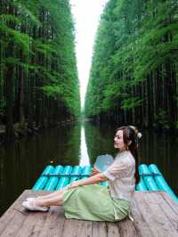 就在江蘇90%人不知道的絕美水上森林