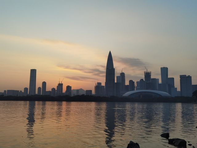 冬日浪漫——約會深圳灣公園 冬日浪漫——約會深圳灣公園