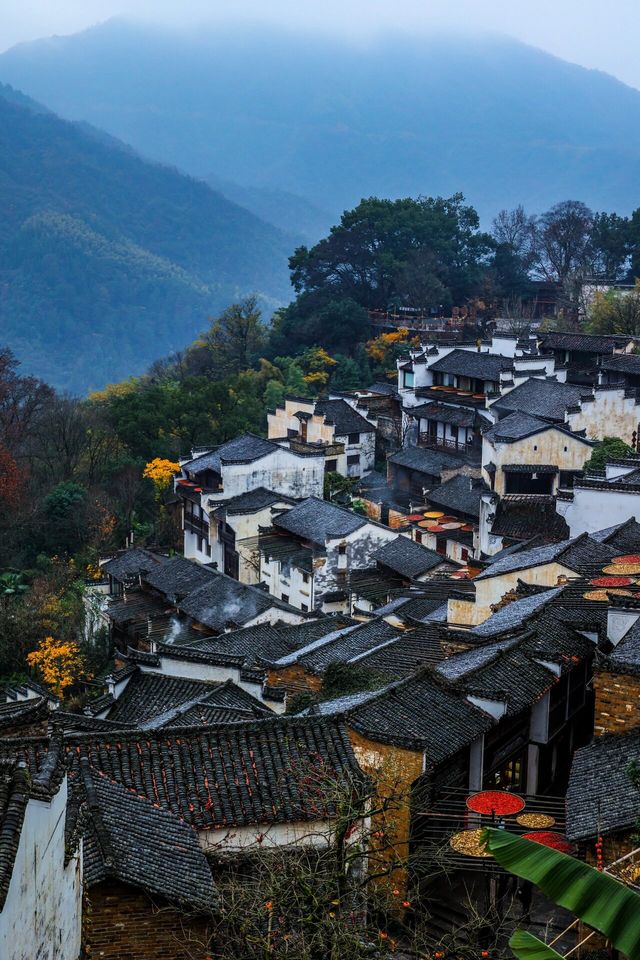 總要來篁嶺看看萬家燈火吧