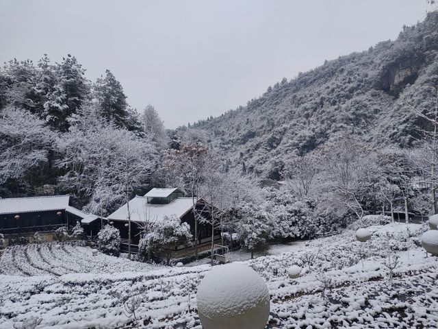 冬遊張家界野奢度假酒店