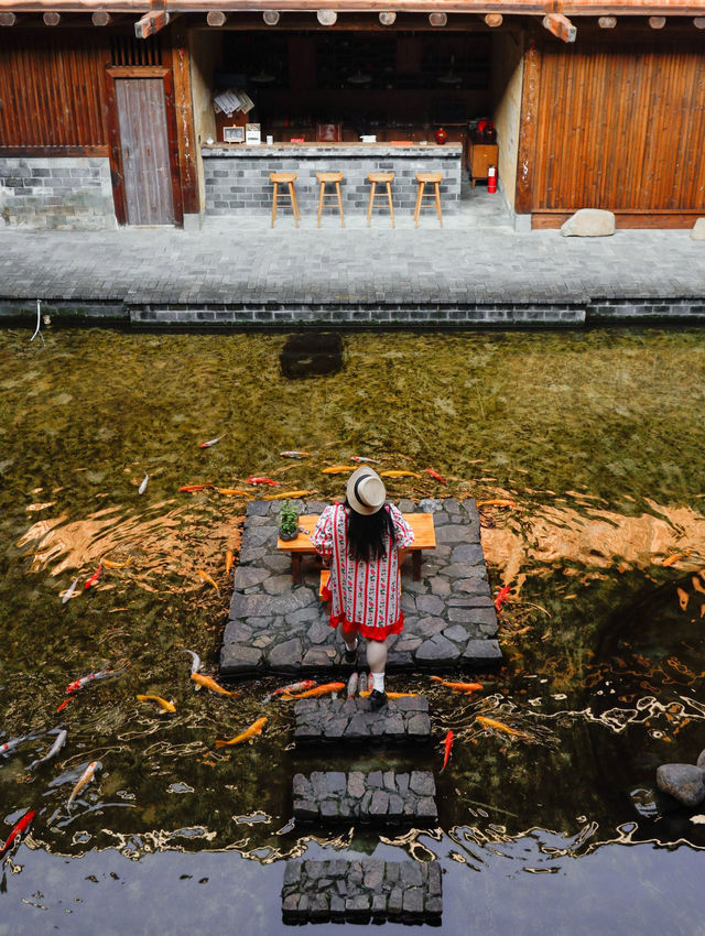 福建百年土樓一池錦鯉、現實版大魚海棠