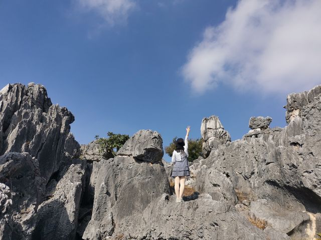 誰還沒有來昆明海埂大壩餵海鷗？