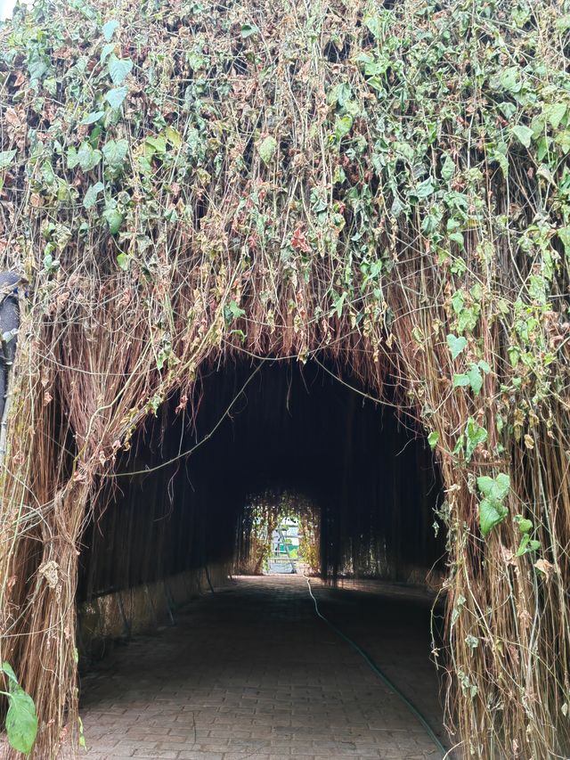 隱藏在小縣城的超大兒童田園綜合體，性價比感人！