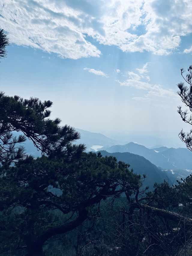 革命根據地-三角山