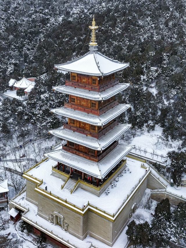 雪後的龍泉寺宛如傳說中的天宮宮闕