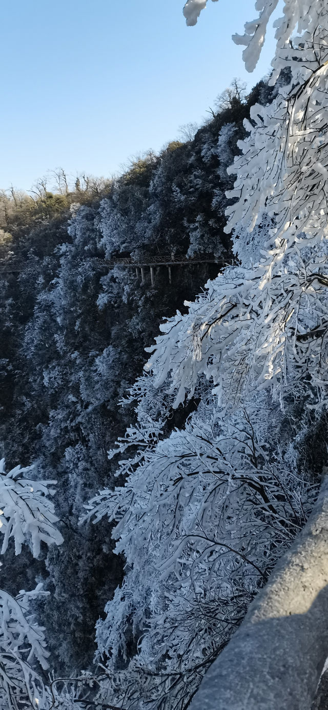 總要和最好的朋友一起去一趟張家界國家森林公園天門山吧