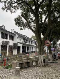 江南人文荟萃地｜低調的嘉定