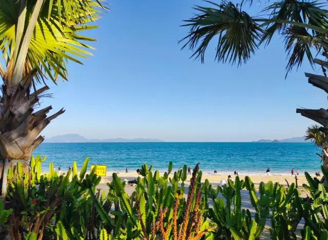 Indeed, the best time to see the ocean is on a clear sunny day