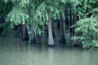 帶著娃去崇明看螃蟹吧 | 西沙濕地公園
