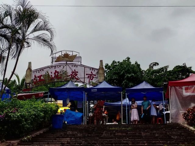 雲南 雲南