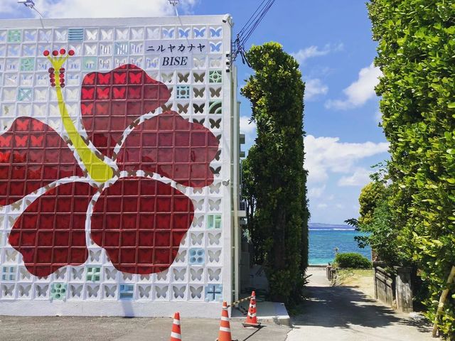 沖繩海洋館與海的完美邂逅：一次不可錯過的旅行