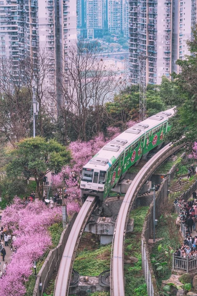 重慶-開往春天的列車