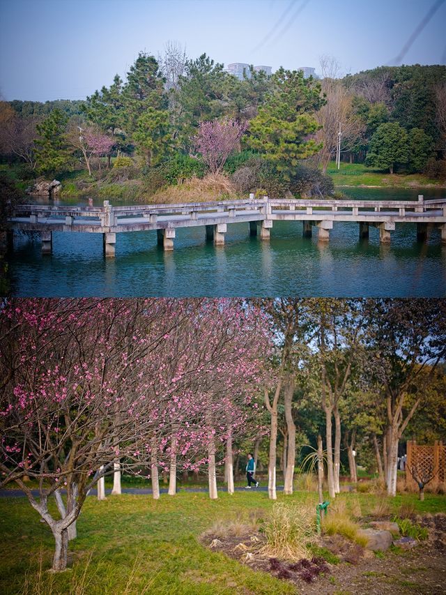 一個城市公園 春天的雙休日人都擠不進去 一個城市公園 春天的雙休日人都擠不進去