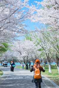 春遊記 | 小眾寶藏目的地 | 常熟尚湖一日遊攻略