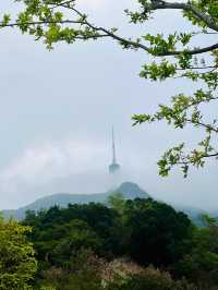 深圳輕鬆拿下梧桐山