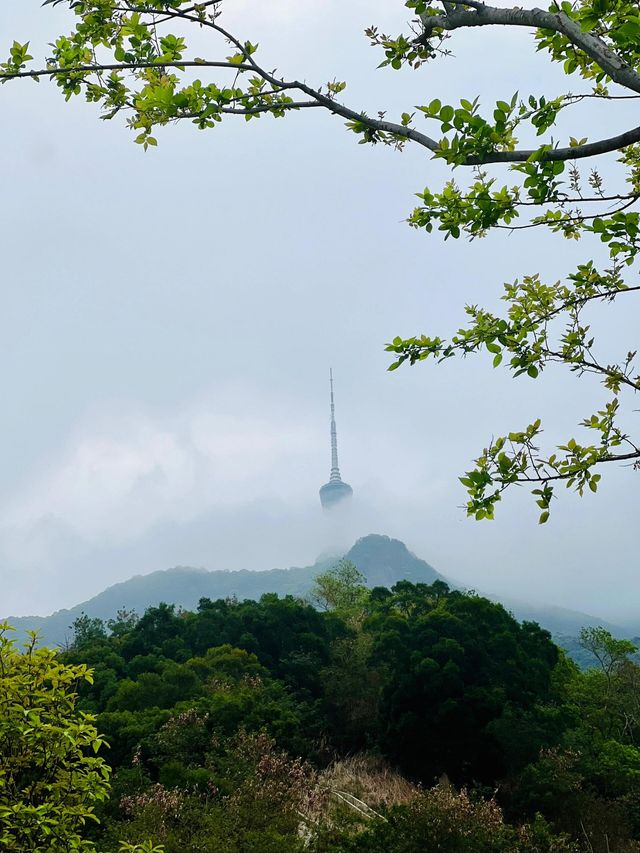 深圳輕鬆拿下梧桐山