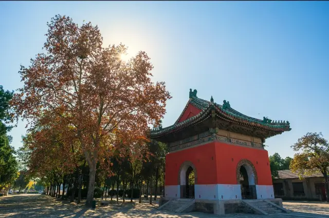 Henan Travel Secrets: Aren't you curious to explore these ancient relics that have stood for a thousand years?