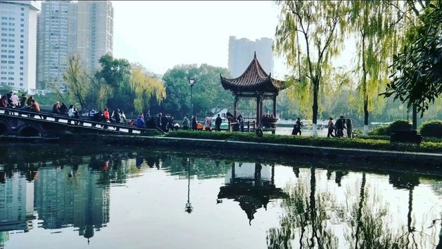 北湖公園-一個很不錯的休閒和玩趣的地方