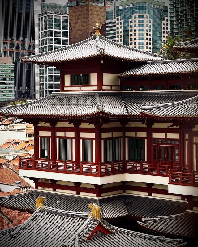 新加坡佛牙寺丨旅遊打卡景點攻略