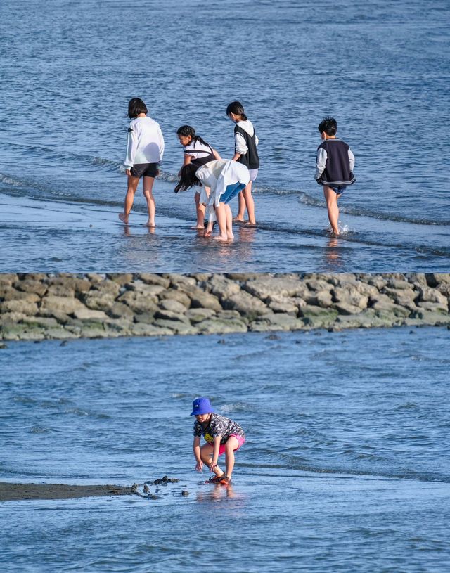 海岸風光與休閒樂趣：葛西臨海公園完美攻略