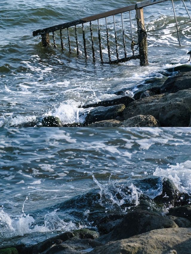 海岸風光與休閒樂趣：葛西臨海公園完美攻略