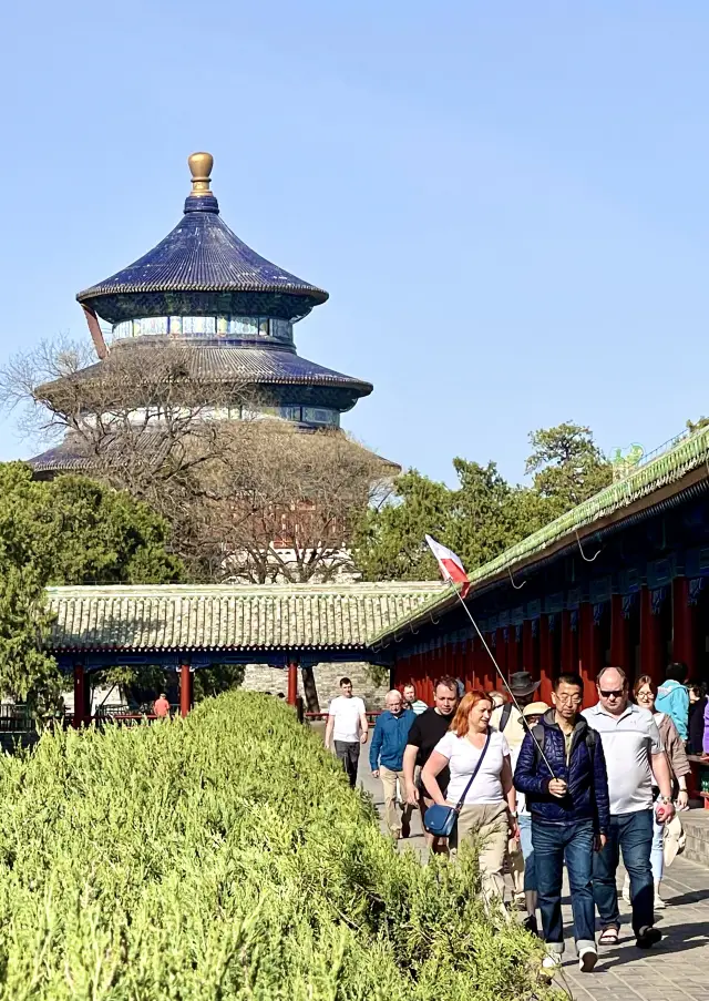 早起きの鳥は餌を得る 天壇公園の朝