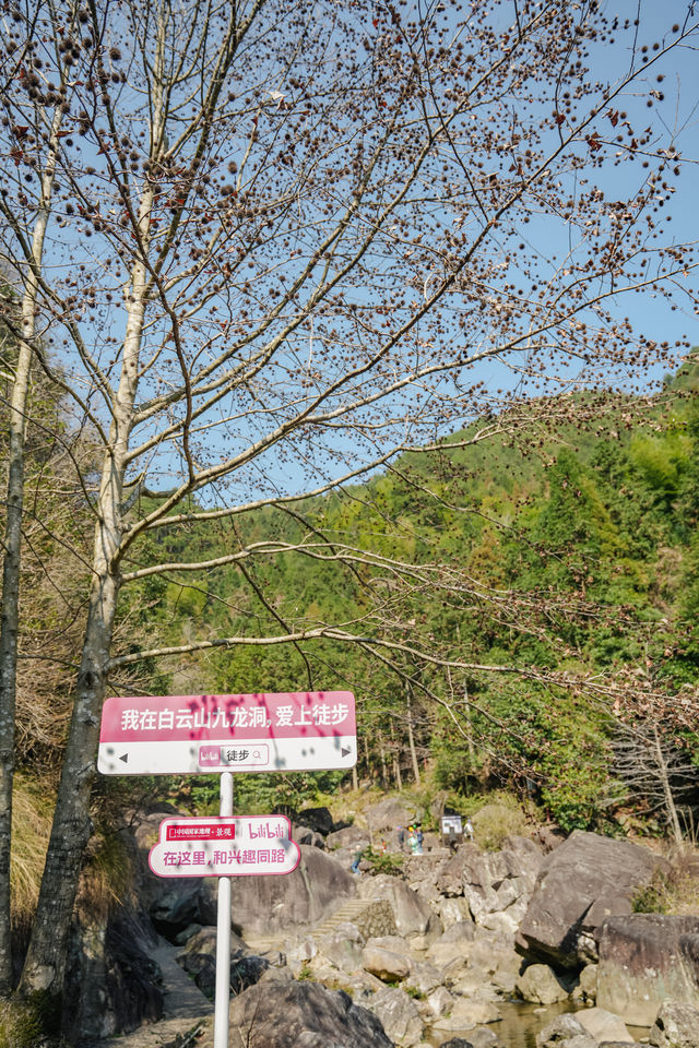 小眾旅行地|福安仙境白雲山親子遊攻略
