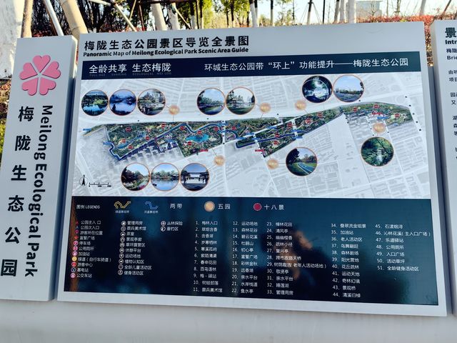 春日來賞花梅陇地區新開免費公園